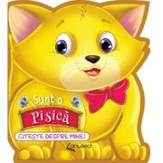 Sunt o pisica - Lucia Cocisiu