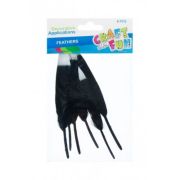 Accesorii creatie - pene, negru, argintiu, 12-15cm, set 6 buc, Craft with Fun, 463663