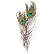 Accesorii creatie - pene, 25cm, paun, set 2 buc, Colorarte