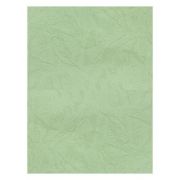 Coperta indosariere A4 CNX, carton imitatie piele, fistic, 230g/mp, top 100 coli