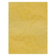 Coperta indosariere A4 CNX, carton imitatie piele, ocru, 230g/mp, top 100 coli