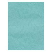 Coperta indosariere A4 CNX, carton imitatie piele, turquoise, 230g/mp, top 100 coli