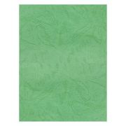 Coperta indosariere A4 CNX, carton imitatie piele, verde, 230g/mp, top 100 coli