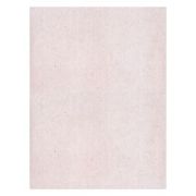Coperta indosariere A4 CNX, carton perlat, corai, 250g/mp, top 100 coli