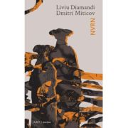 NVRN ( Nu va ramane nimic) - Liviu Diamandi, Dmitri Miticov