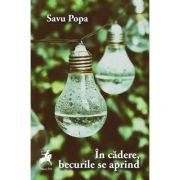 In cadere, becurile se aprind - Savu Popa