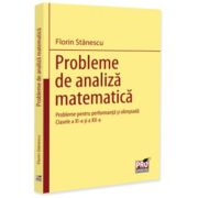 Probleme de analiza matematica. Probleme pentru performanta si olimpiada. Clasele a 11-a si a 12-a - Florin Stanescu