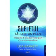 Sufletul tau are un plan - Lisa Barnett