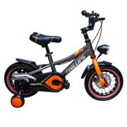 Bicicleta copii, nr. 12, gri