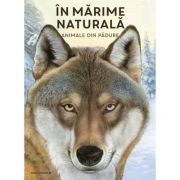 In marime naturala. Animale din padue. Editie hardcover - Holger Haag