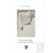 Cat vezi cu ochii. Despre construirea de imagini - Costin Popescu