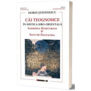 Cai teognosice in mistica siro-orientala. Sahdona Martyrius si Ioan de Dalyatha - Dorin Stefanescu