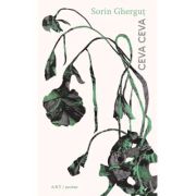Ceva ceva - Sorin Ghergut