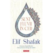 Sunt fluvii in cer - Elif Shafak