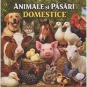 Animale si pasari domestice. Minienciclopedie pentru copii
