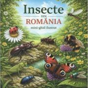Insecte din Romania. Mini-ghid ilustrat