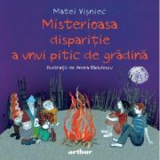 Misterioasa disparitie a unui pitic de gradina - Matei Visniec