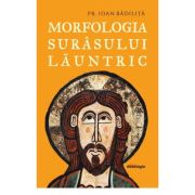 Morfologia surasului launtric - Pr. Ioan Badilita