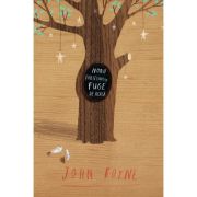 Noah Baleywater fuge de acasa - John Boyne