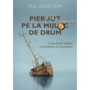 Pierdut pe la mijloc de drum - Paul David Tripp