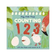 Flip, Flap, Find! Counting 1, 2, 3