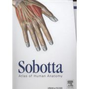 Sobotta Atlas of Human Anatomy, Package, 15th ed., English: Musculoskeletal system, internal organs, head, neck, Neuroanatomy
