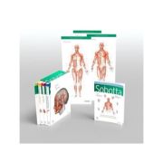 SOBOTTA ATLAS OF ANATOMY