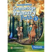 Cambridge Primary Path Level 3 Flashcards