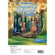 Cambridge Primary Path Level 3 and 4 Posters
