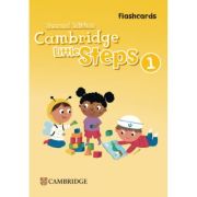 Cambridge Little Steps Level 1  Flashcards