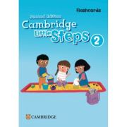 Cambridge Little Steps Level 2 Flashcards