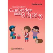 Cambridge Little Steps Level 3 Flashcards