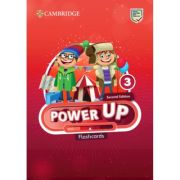 Power Up 2ed Level 3 Flashcards