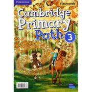 Cambridge Primary Path Level 3 Flashcards