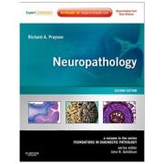 Neuropathology: A Volume in the Series: Foundations in Diagnostic Pathology,