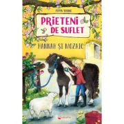 Prieteni de suflet. Hannah si Mozaic - Pippa Young