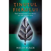 Tinutul fierului