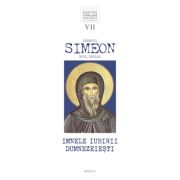 Sfântul Simeon Noul Teolog – Imnele iubirii dumnezeiești, vol. 7