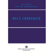 Mica chirurgie - Iulian Brezean