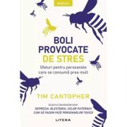 Boli provocate de stres. Sfaturi pentru persoanele care se consuma prea mult - Dr. Tim Cantopher