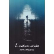 In cautarea Cerului - Ioana Melean