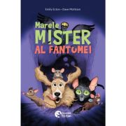 Marele mister al fantomei - Emily Ecton