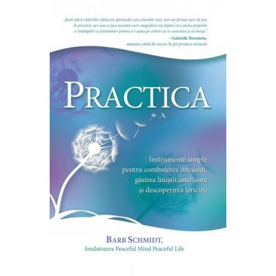 Practica. Instrumente simple pentru combaterea stresului, gasirea linistii interioare si descoperirea fericirii - Barb Schmidt