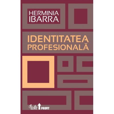 Identitatea profesionala - Herminia Ibarra