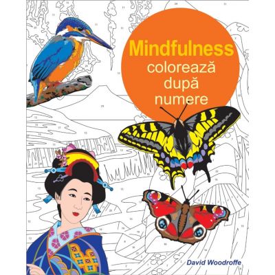 Coloreaza dupa numere. Mindfulness - David Woodroffe