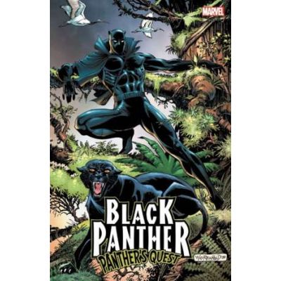 Black Panther: Panther's Quest - Don McGregor