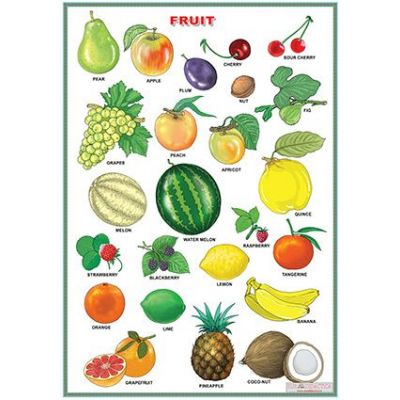 Fruit/Vegetables and herbs (DUO) - Plansa viu colorata, cu 2 teme distincte