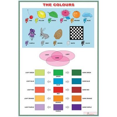 The colours/Jobs (DUO) - Plansa viu colorata, cu 2 teme distincte