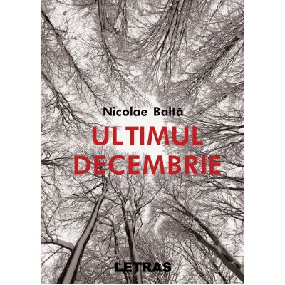 Ultimul decembrie - Nicolae Balta