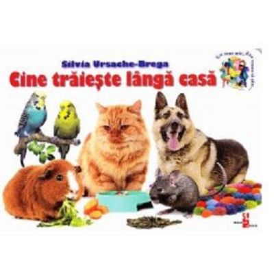 Cine traieste langa casa - Silvia Ursache-Brega